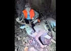 SONNY KLUMPP, age 7, of Linwood, bagged an 8 point buck in Arenac County. Sonny is the son of Naomi Klumpp and the late Zachary Klumpp.