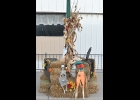 THIS HARVEST THEMED POLE, in front of the Pinconning Branch Library shows no indication of who did the decorating. --Journal Photo
